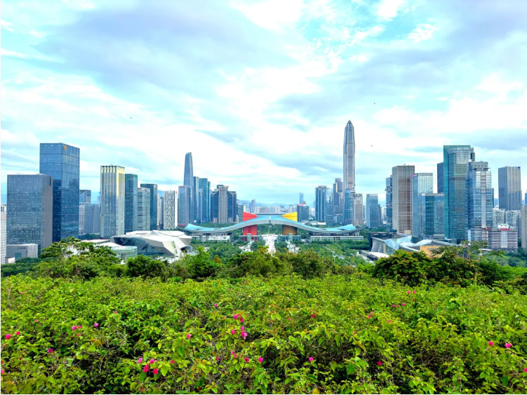 QQ20251201-151843.jpg QQ20251201-151843.jpg